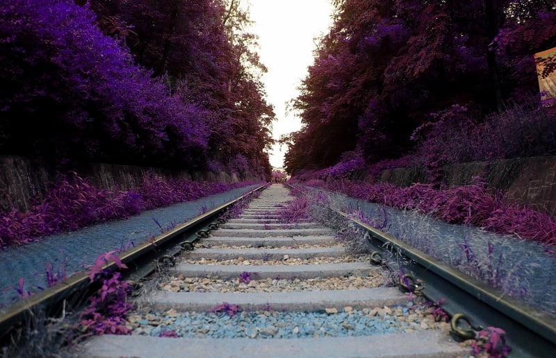 Dreamlike scenes