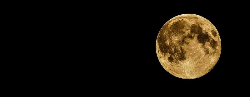 Moonlit Beaches